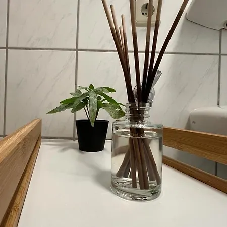 Of & Serviced Aparts Deluxe Maisonette-apart Apartmán Fürth
