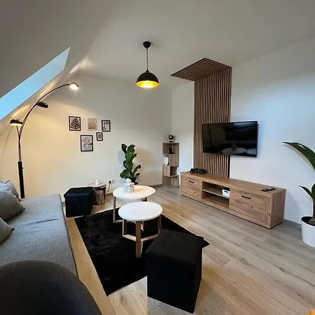 Of & Serviced Aparts Deluxe Maisonette-apart Apartmán Fürth
